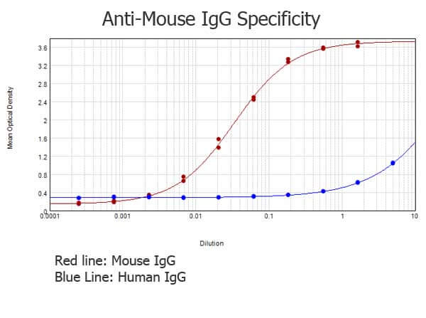 Mouse IgG (H&L) Antibody Pre-adsorbed