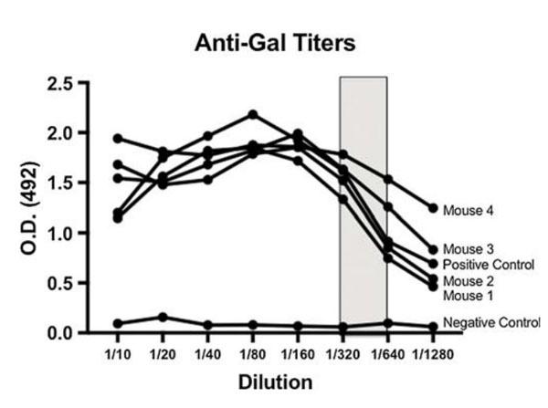 ELISA using Rabbit Anti-Mouse IgG F(ab')2 Peroxidase