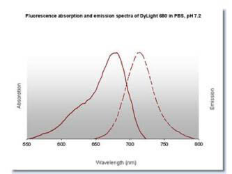 Graph - Sheep IgG (H&L) Antibody DyLight™ 680 Conjugated Pre-Adsorbed