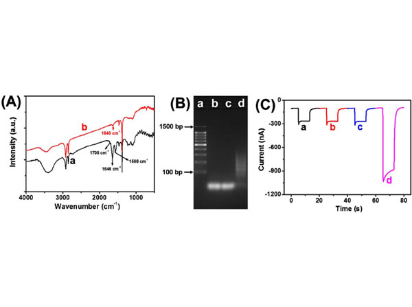 Electrophoresis using Avidin-Glucose Oxidase