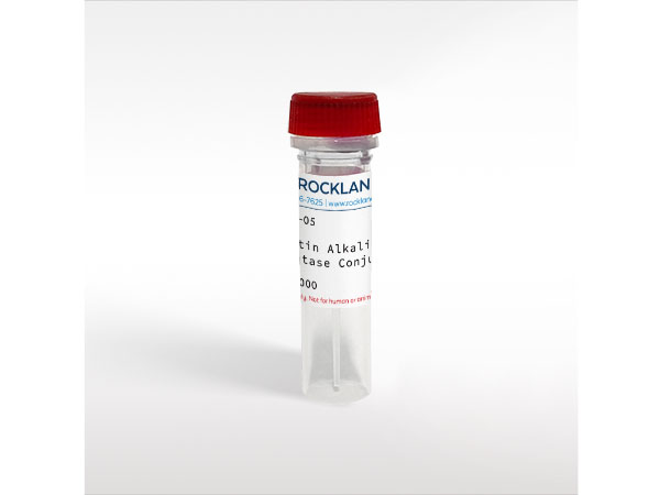 Biotin Alkaline Phosphatase Conjugated