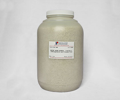 Bovine Serum Albumin - 1kg