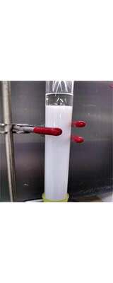Affinity Purification