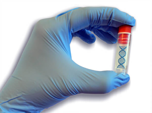 Human genomic DNA