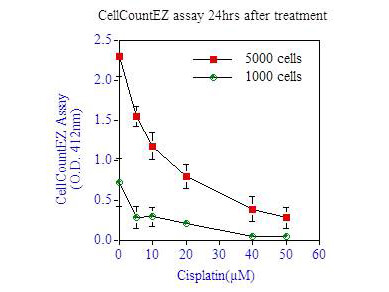 CellCountEZ Assay - 24hrs Cisplatin