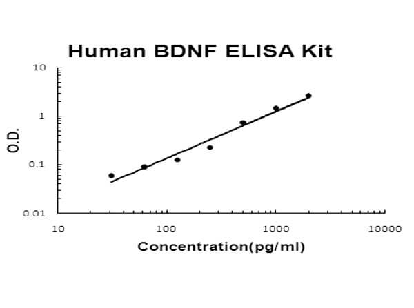 Human BDNF ELISA Kit