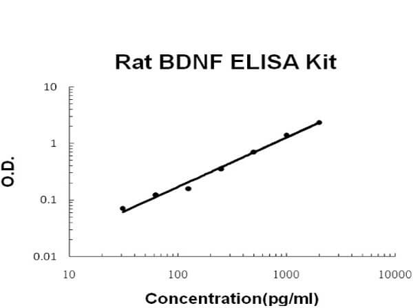 Rat BDNF Accusignal ELISA Kit