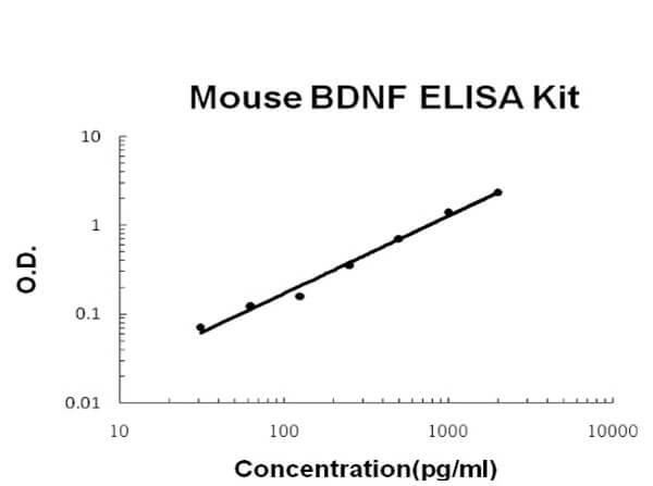 Mouse BDNF Accusignal ELISA Kit