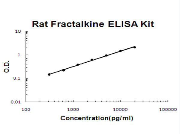Rat Fractalkine Accusignal ELISA Kit
