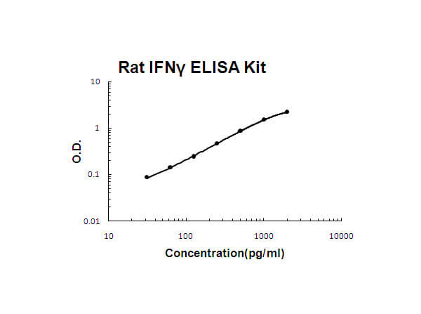 Rat IFN gamma ELISA Kit