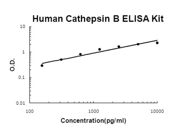 Human Cathepsin B ELISA Kit