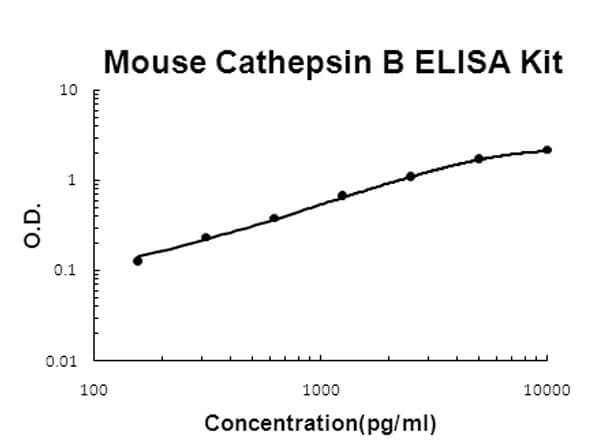 Mouse Cathepsin B ELISA Kit
