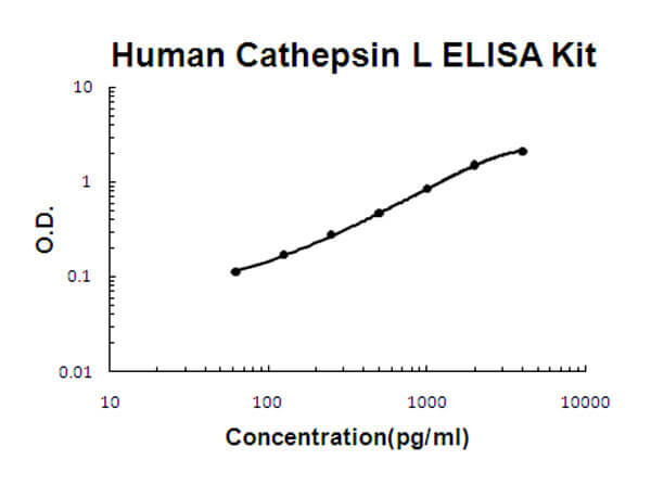 Human Cathepsin L ELISA Kit