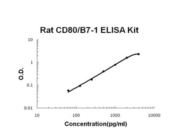 Rat CD80 - B7-1 ELISA Kit
