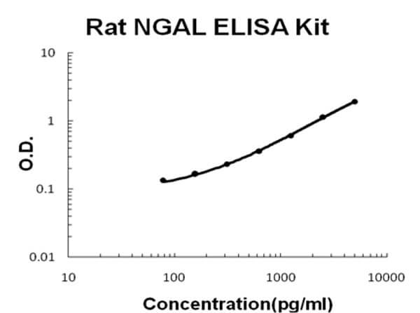 Rat Lipocalin-2 - NGAL ELISA Kit