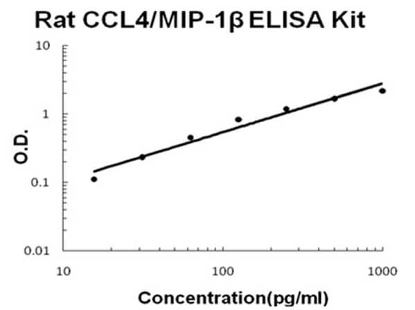 Rat CCL4/MIP-1 beta Accusignal ELISA Kit
