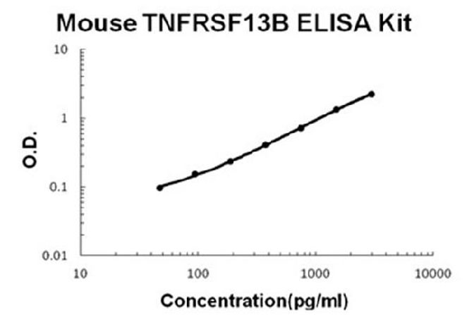 Mouse TNFRSF13B/TACI ELISA Kit standard curve.