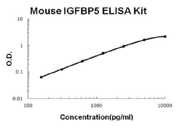 Mouse IGFBP5 ELISA Kit standard curve.