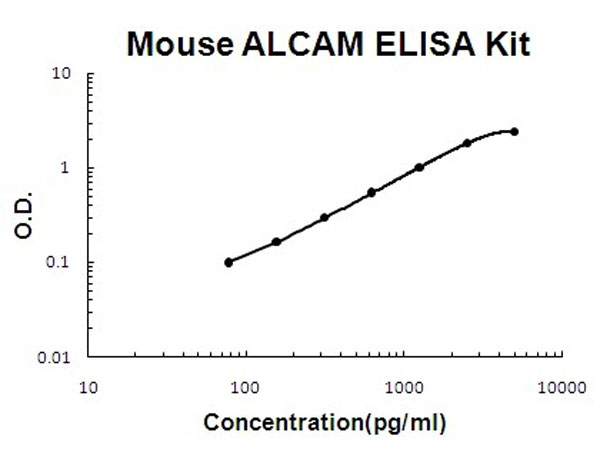 Mouse ALCAM ELISA Kit standard curve.