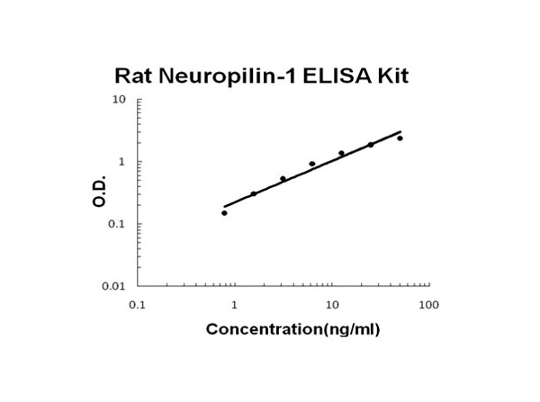 Rat Neuropilin-1 ELISA Kit standard curve.