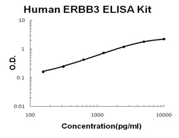 Human ERBB3/Her3 ELISA Kit standard curve.