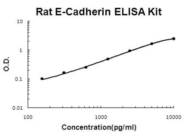 Rat E-Cadherin ELISA Kit standard curve.