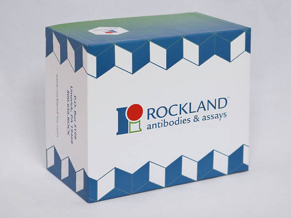 Rockland Anti-DYKDDDDK (FLAG®) Chemiluminescent Kit Box