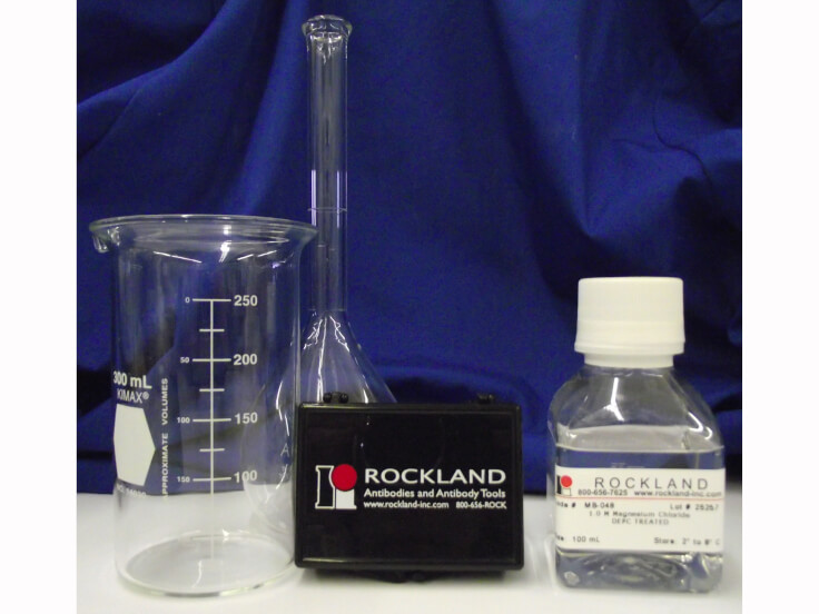 WB - 1.0 M Magnesium Chloride DEPC Treated