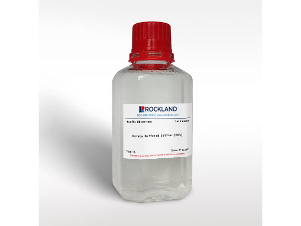 Borate Buffered Saline (BBS) (10 mM Sodium Borate, 150 mM Sodium Chloride pH -8.5)