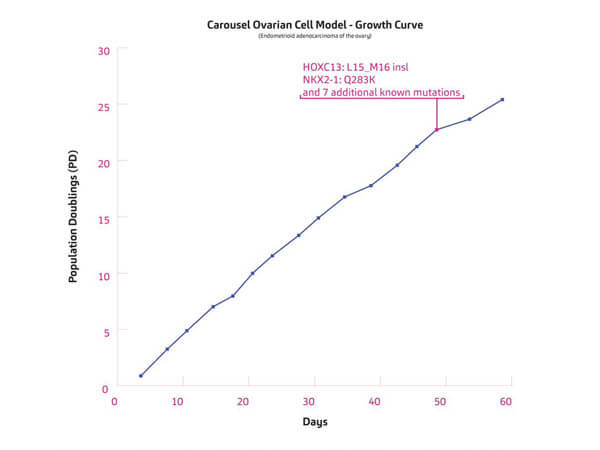 Carousel Cell Model - historical growth curve