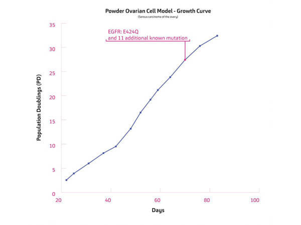 Powder Cell Model -  historical growth curve