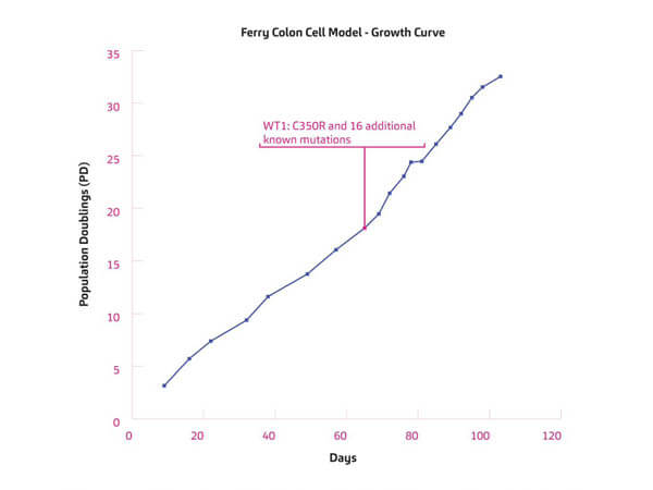 Ferry Cell Model -  historical growth curve