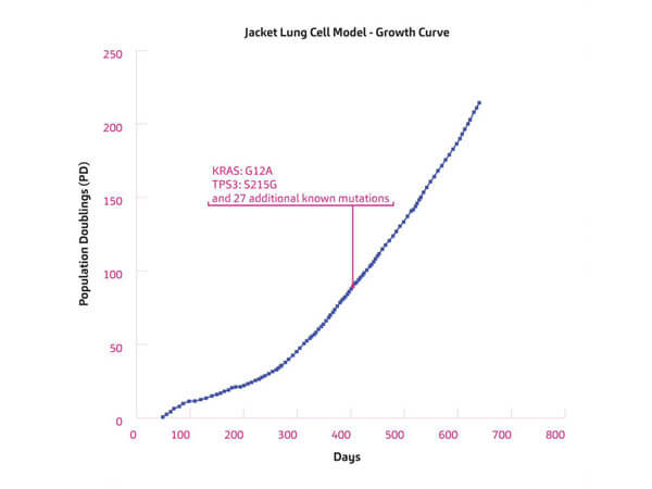Jacket Cell Model - historical growth curve
