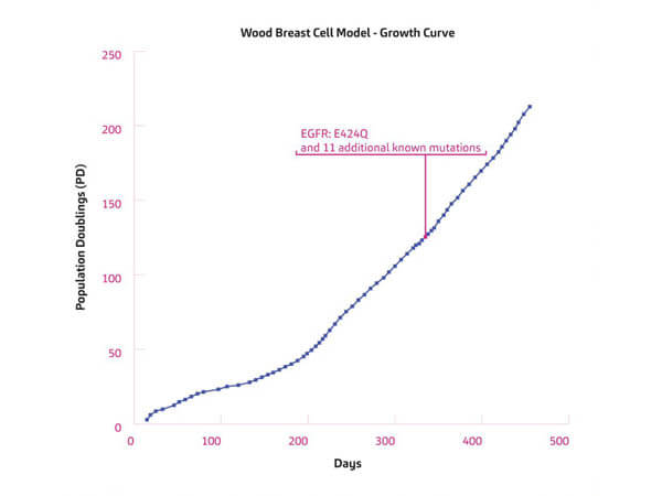 Wood Cell Model - historical growth curve