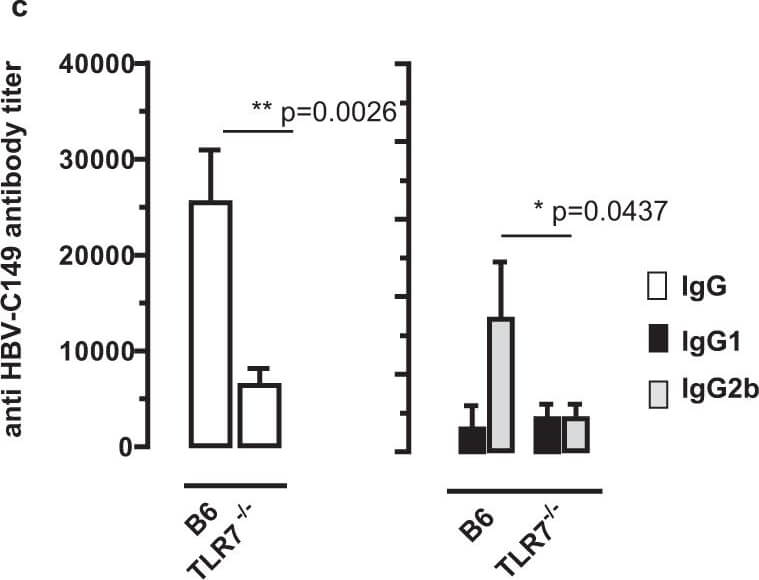 ELISA Results of Rabbit Anti-Mouse IgG2b Antibody Peroxidase Conjugation