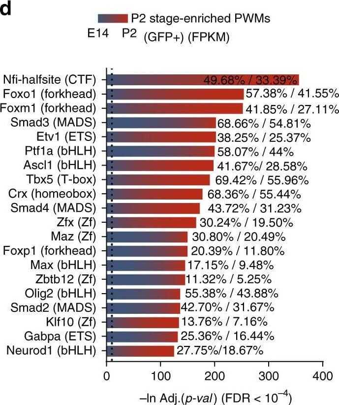 Flow Cytometry of Anti-GFP Antibody