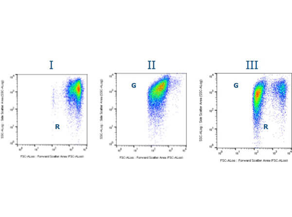 Flow cytometry analysis of unlabeled Rabbit Red Blood Cells